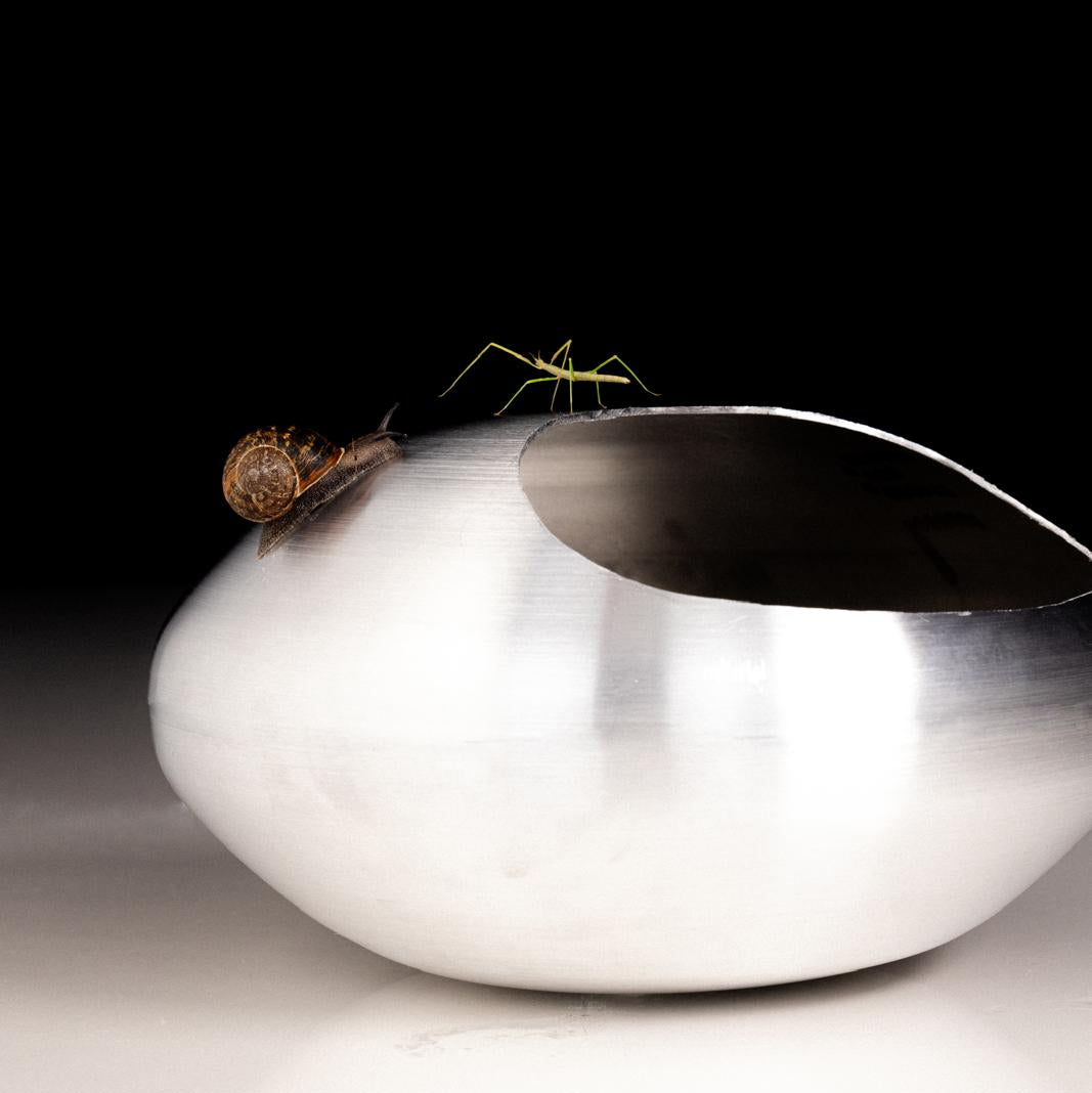 Spun metal cooking pot with a satin finish, styled with insects crawling over it